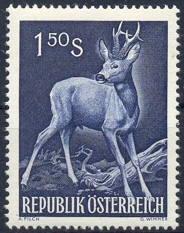 Western Roe Deer (Capreolus capreolus)