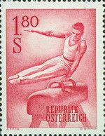 Gymnastics at the pommel horse