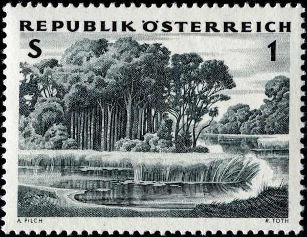 Alluvial forest
