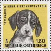 120th Anniversary of the Vienna Animal Protection Associatio