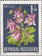 Columbine (Aquilegia vulgaris)