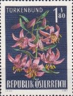 Turk's Cap Lily (Lilium martagon)