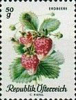 Strawberry (Fragaria ananassa)
