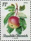 Apple (Malus sylvestris var. domestica)
