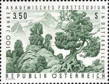 Centenary of Academic Forest Studies : Pinus cembra