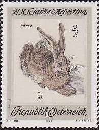 "Young Hare" by Albrecht Dürer, European Hare (Lepus europae
