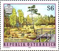 Moor near Heidenreichstein (Lower Austria)