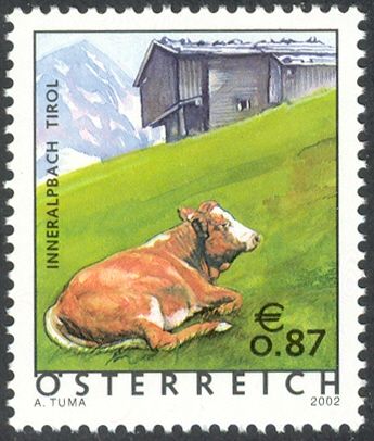 Alpach Valley, Tyrol