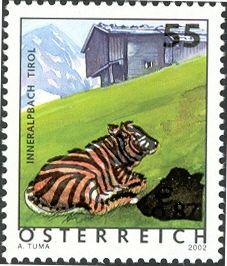 Inneralpbach, Tyrol - Cattle (Bos primigenius taurus)