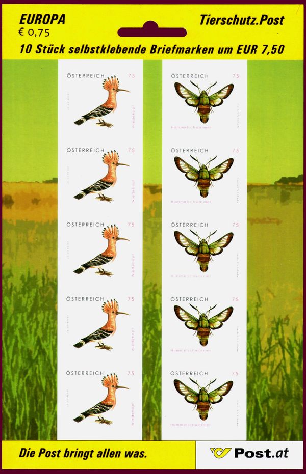 Eurasian Hoopoe (Upupa epops), Broad-bordered Bee Hawkmoth (