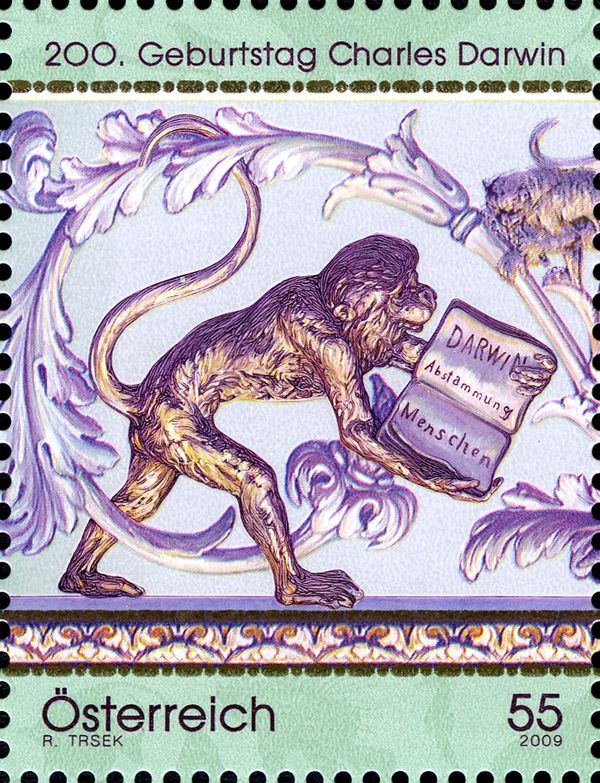 Evolution – Hominid