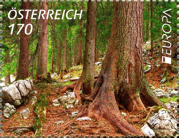 Europa 2011 - Year of the Forest