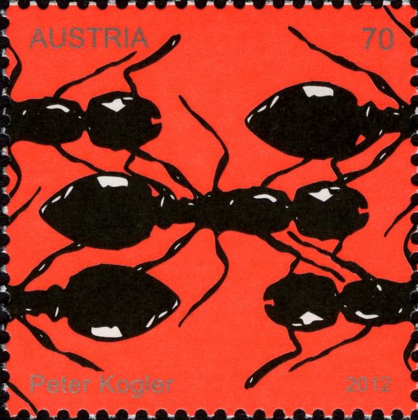 Contemporary Art - Peter Kogler - Ants