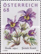 European pasqueflower (Pulsatilla vulgaris)