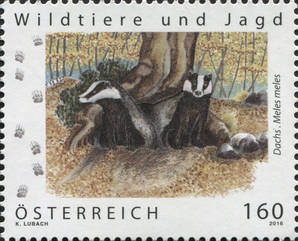 Badger