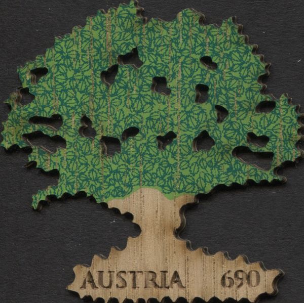 Oak tree