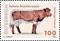 Jochberger Hummel