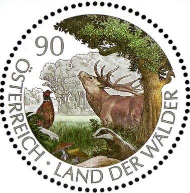 The Land of Forests