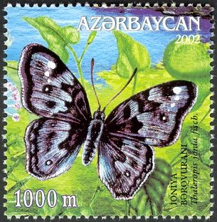 Ionian Emperor (Thaleropis jania)