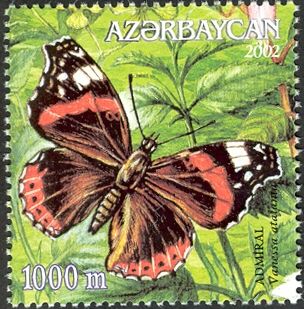 Red Admiral (Vanessa atalanta)
