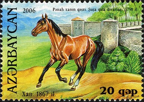 Karabakh Horse "Xan" (Equus ferus caballus)(1867)