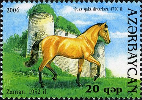 Karabakh Horse "Zaman" (Equus ferus caballus)(1952)