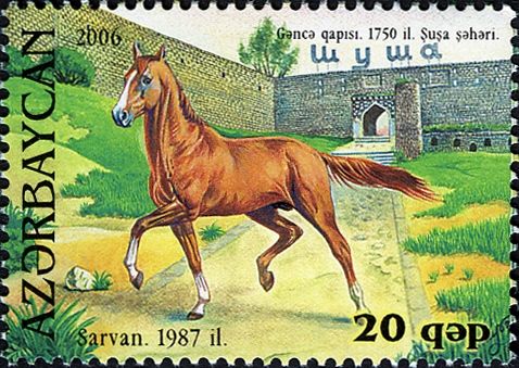Karabakh Horse "Sarvan" (Equus ferus caballus)(1987)