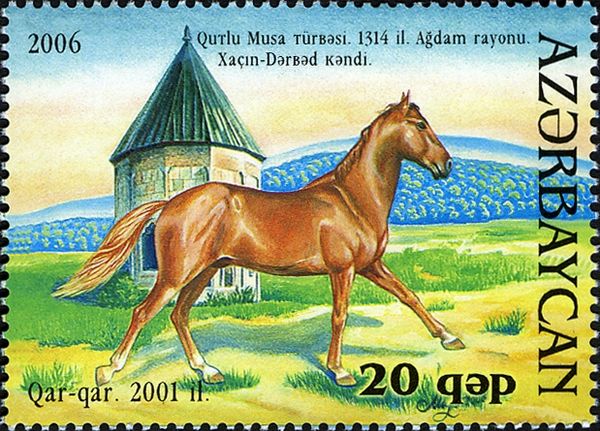 Karabakh Horse "Quar-quar" (Equus ferus caballus)(2001)