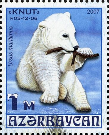 Polar Bear (Ursus maritimus) - "Knut"