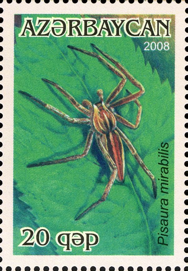 Nursery Web Spider (Pisaura mirabilis)