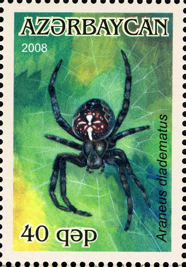 Cross Spider (Araneus diadematus)