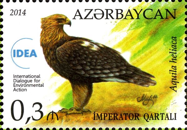 Imperial Eagle (Aquila heliaca)