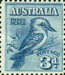 Kookaburra (Dacelo novaeguineae)