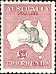 Kangaroo and Map