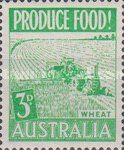Wheat