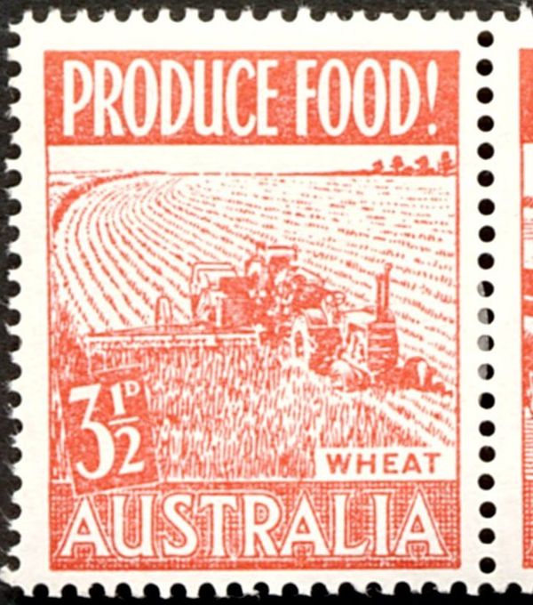 Wheat