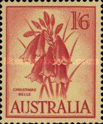 Christmas Bells
