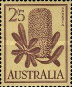 Banksia