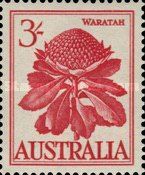 Waratah