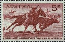 Aboriginal Stockman