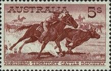 Aboriginal Stockman, white paper