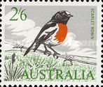 Scarlet Robin (Petroica multicolor)