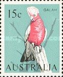 Galah (Eolophus roseicapilla)