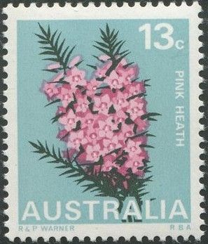 Pink Heath (Epacris impressa), Victoria