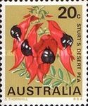 Sturt's Desert Pea (Swainsona formosa), South Australia