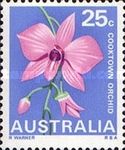 Cooktown Orchid (Dendrobium bigibbum), Queensland