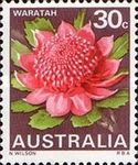 Waratah (Telopea speciosissima), New South Wales - type I