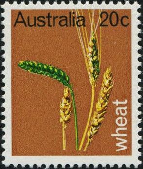 Primary Industries- Wheat