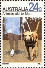 Animals Aid to Man - Seeing-eye Dog