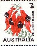 Sturt's Desert Pea 7c coil stamp